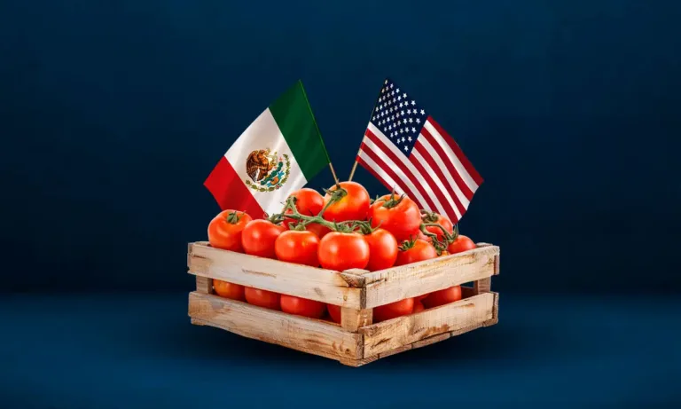 Tormenta sobre el tomate mexicano
