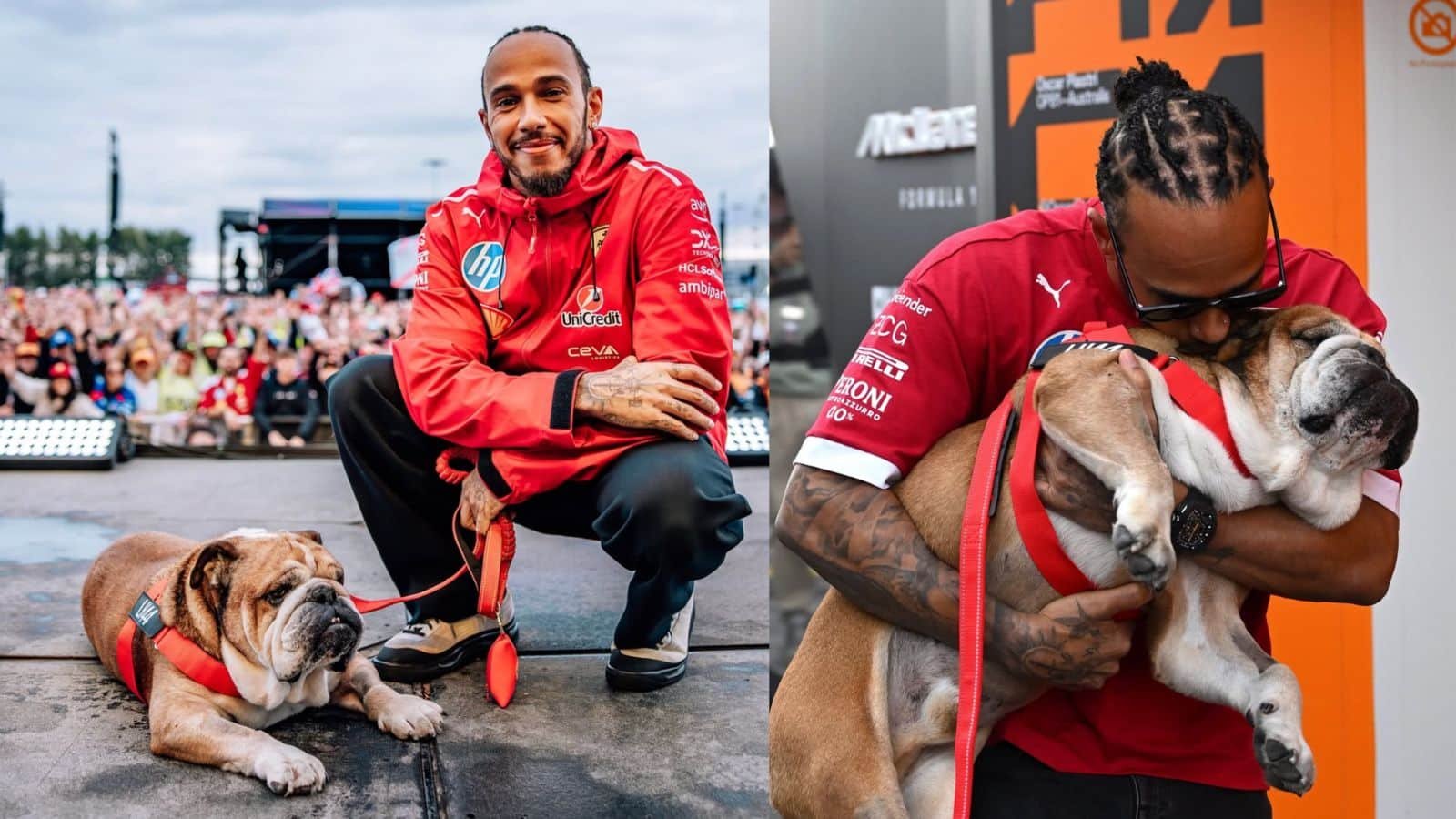 Lewis Hamilton con su perro Roscoe, un bulldog inglés. En la primera escena, Hamilton posa sonriendo con Roscoe en un evento público frente a una multitud. En la segunda, lo sostiene en brazos y lo abraza con ternura, dándole un beso en la cabeza.