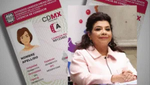 Licencia de Conducir Permanente, by Jointly
