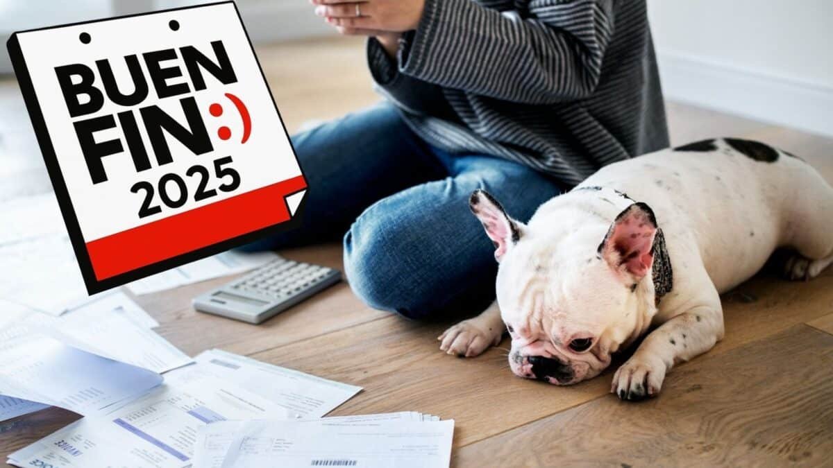 Mujer con su perrito pensado en deudas por el BuenFin 2025