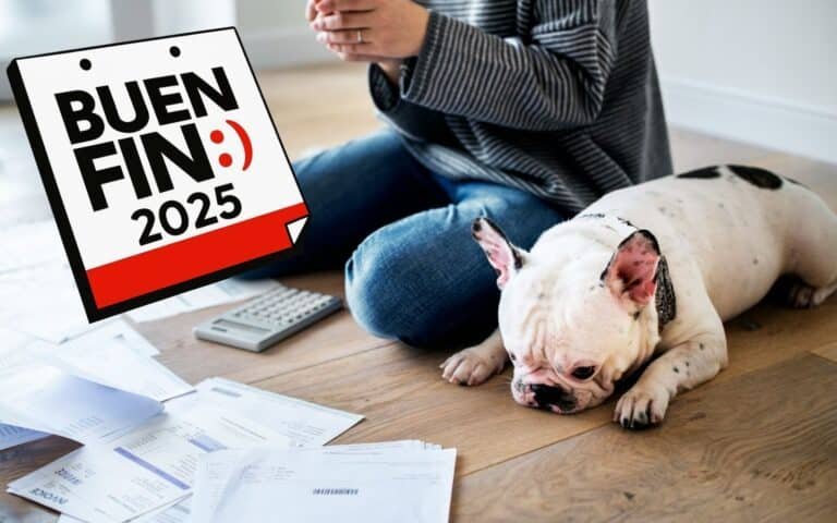 Mujer con su perrito pensado en deudas por el BuenFin 2025