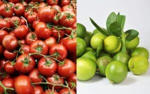 Cómo afectan los bloqueos al transporte de carga y abasto