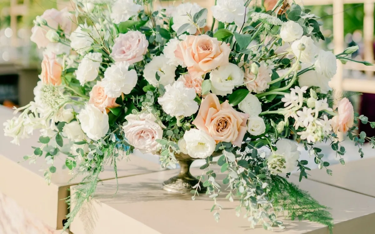 El "Jardín del Buen Amor" también ofrecerá funciones de cine al aire libre