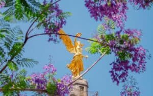 Qué hacer en CDMX este febrero 2026: 30 planes imperdibles para disfrutar la ciudad