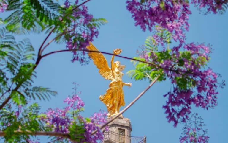 Qué hacer en CDMX este febrero 2026: 30 planes imperdibles para disfrutar la ciudad