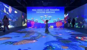 qué hacer con niños en CDMX