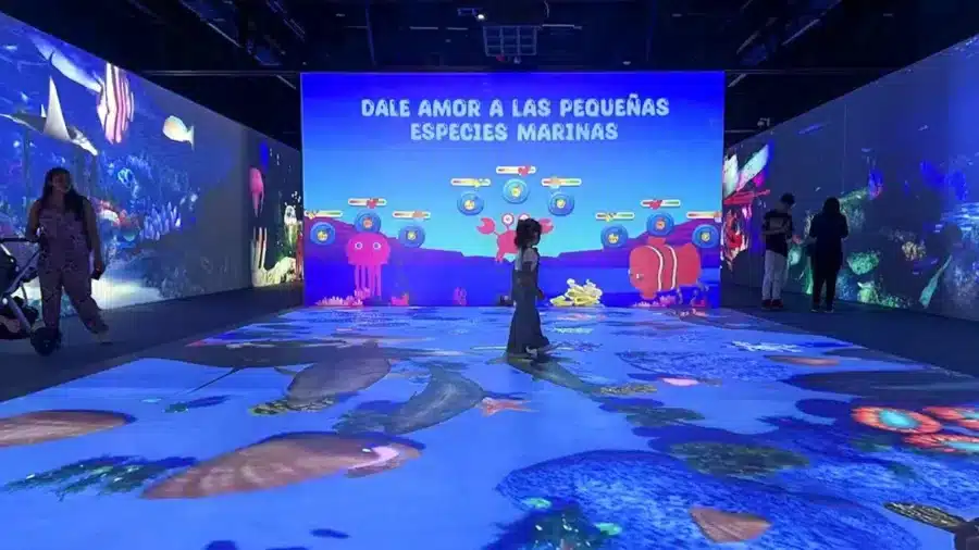 qué hacer con niños en CDMX