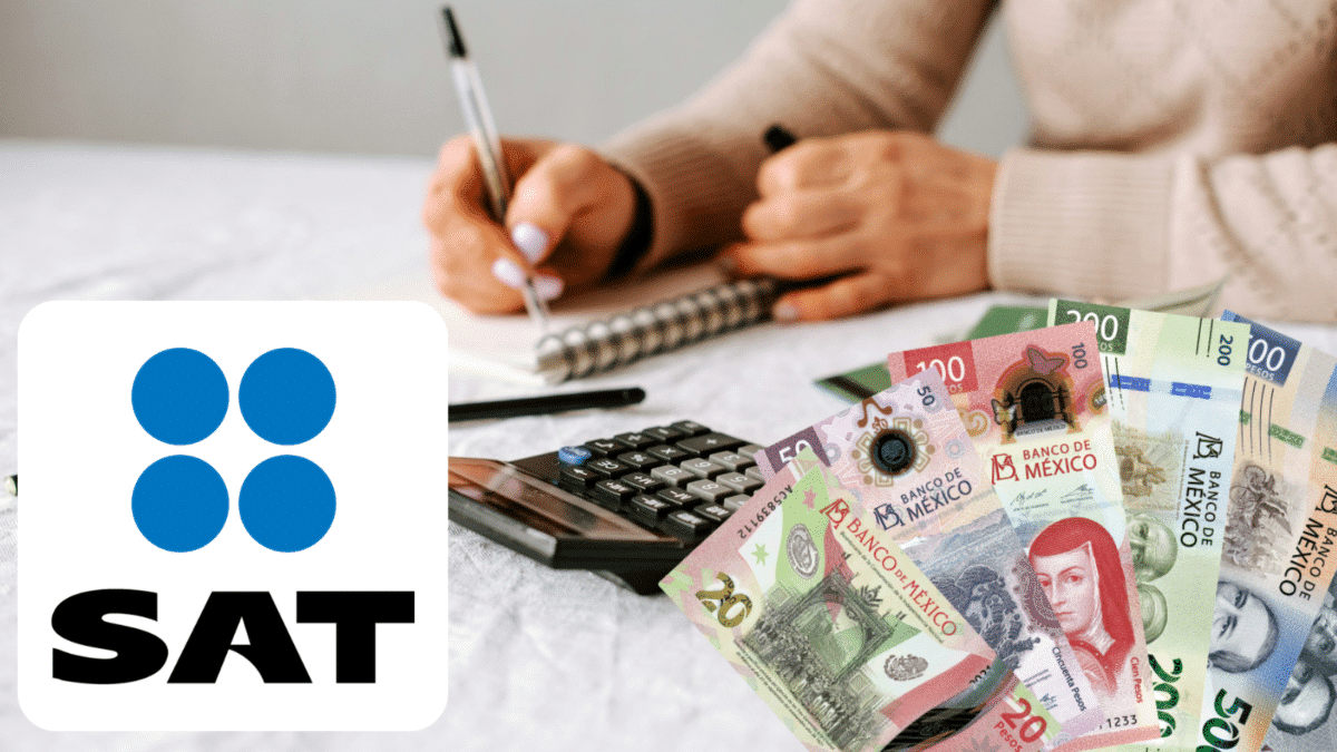 Guía para usar el simulador del SAT 2026 en la Declaración Anual