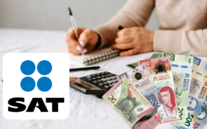 Guía para usar el simulador del SAT 2026 en la Declaración Anual