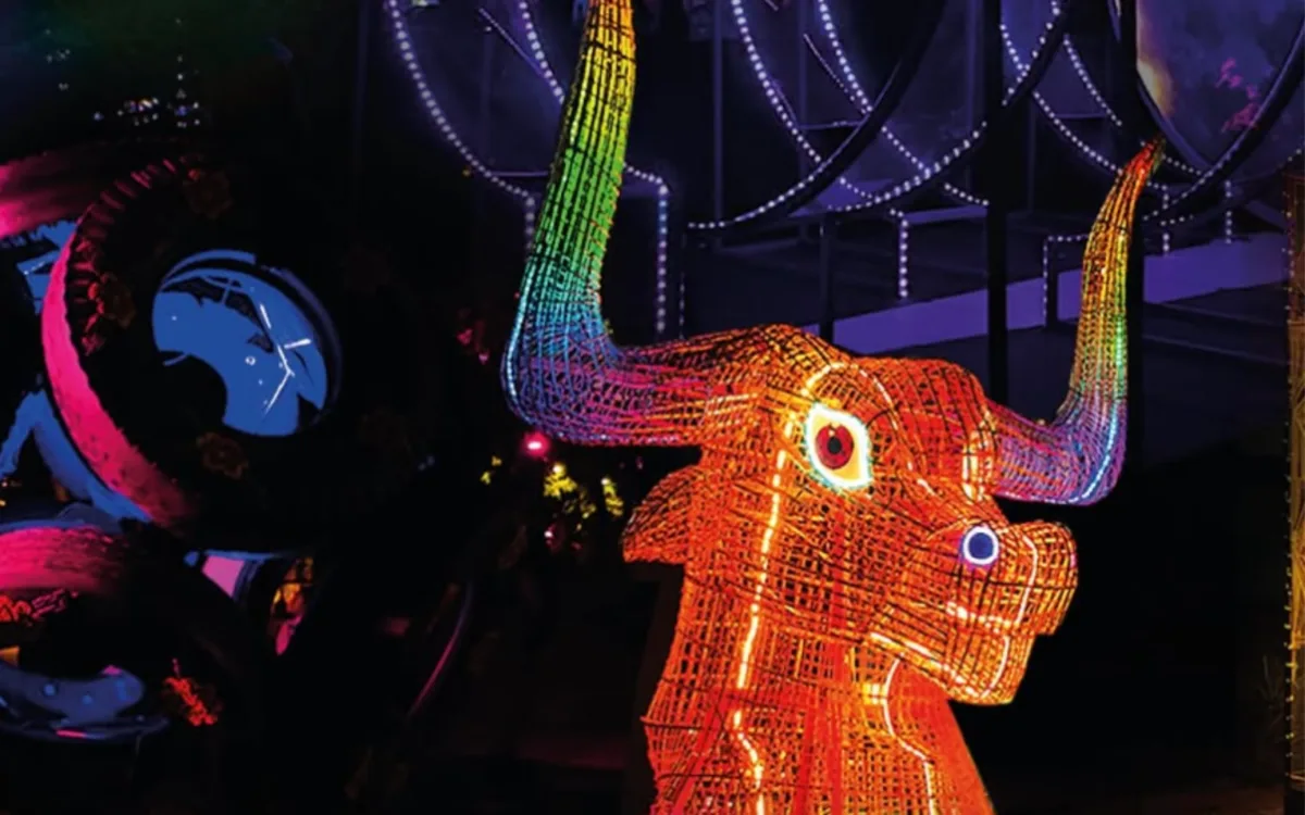 exposición ‘Solo la luz’ en la Ciudad de México de FILUX