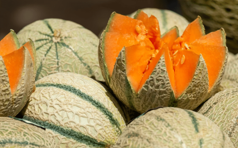 Últimas horas del Martimiércoles Chedraui: Lista de ofertas en frutas y verduras este 29 de abril