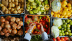 Martes de Frescura Walmart 12 de mayo 2026: frutas, verduras y carnes al mejor precio de la semana