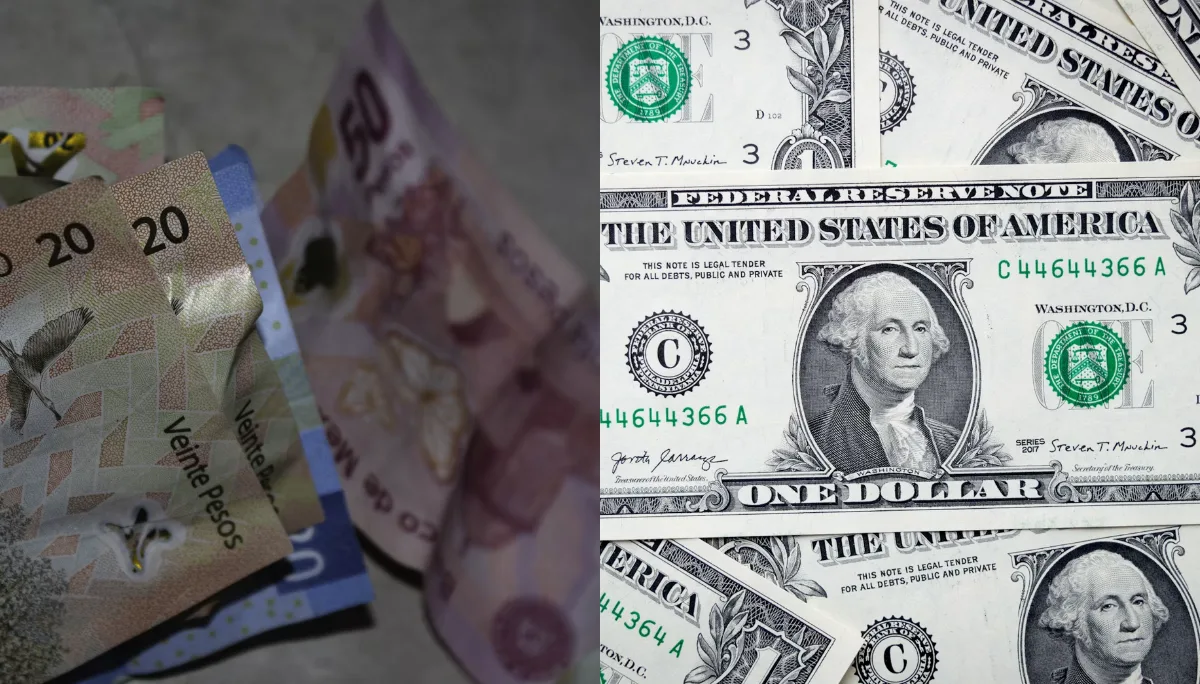 ¿A cuánto está el dólar hoy Martes 29 de Junio de 2026?