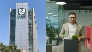 IMSS reporta fuerte desaceleración en la creación de empleo