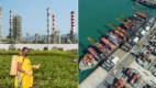 Inversión en la petroquímica de Veracruz