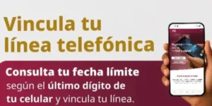 Prórroga Registro de Líneas Telefónicas 2026
