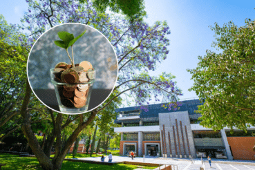 El ITESO reveló hoy que el 70% del crecimiento del PIB de México en 2025 provino de la economía informal y eso cambia todo el diagnóstico.