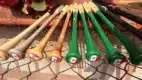 México béisbol Santo Domingo 2026