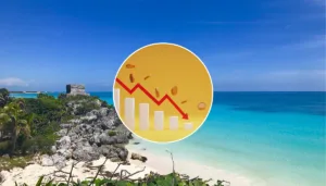 Tulum enfrenta su peor crisis turística en años con ventas desplomadas 60% por el sargazo, justo semanas después del pico del Mundial.