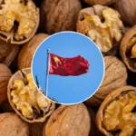 China aplica aranceles de hasta 51.6% a la nuez pecana mexicana desde este martes y México prepara su defensa.
