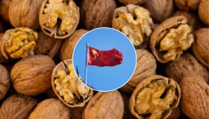 China aplica aranceles de hasta 51.6% a la nuez pecana mexicana desde este martes y México prepara su defensa.