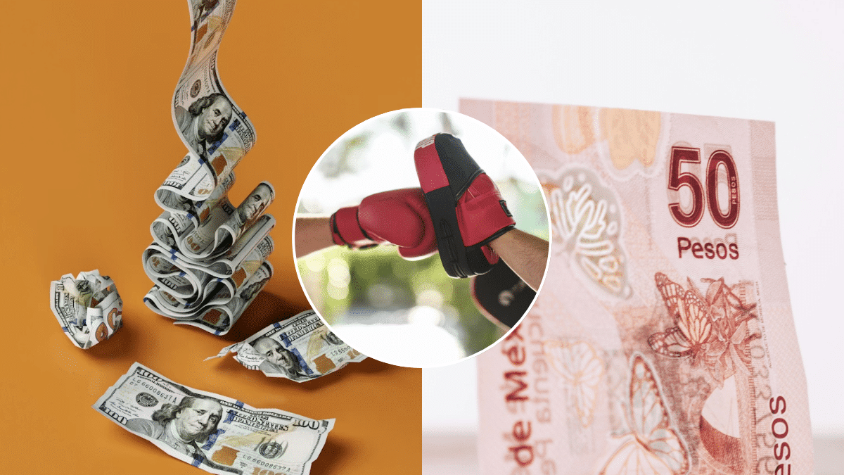 El dólar cotiza debajo de 17 pesos: Te explicamos qué gana y qué pierde tu bolsillo con eso.