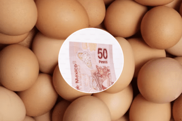 Descubre por qué la inflación oficial del huevo no coincide con lo que pagas en tu mercado.
