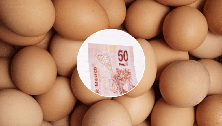 Descubre por qué la inflación oficial del huevo no coincide con lo que pagas en tu mercado.