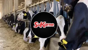 Conoce qué está en juego con la posible venta de SuKarne y el precio de la res.