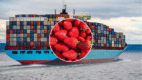 Qué significa la cuota antidumping a la fresa mexicana para productores, empleos y tu despensa.