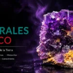 Expo-Minerales-de-México