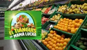 Tianguis de Mamá Lucha