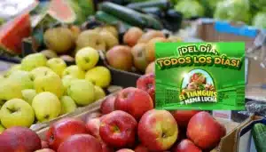 Tianguis de Mamá Lucha hoy 11 de agosto