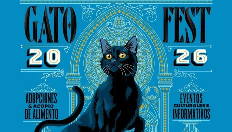 planes en CDMX este fin de semana