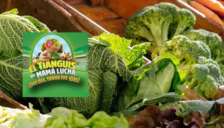 Ofertas del Tianguis de Mamá Lucha del 1 de septiembre de 2026