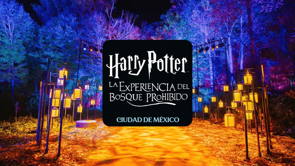 Bosque prohibido harry potter cdmx