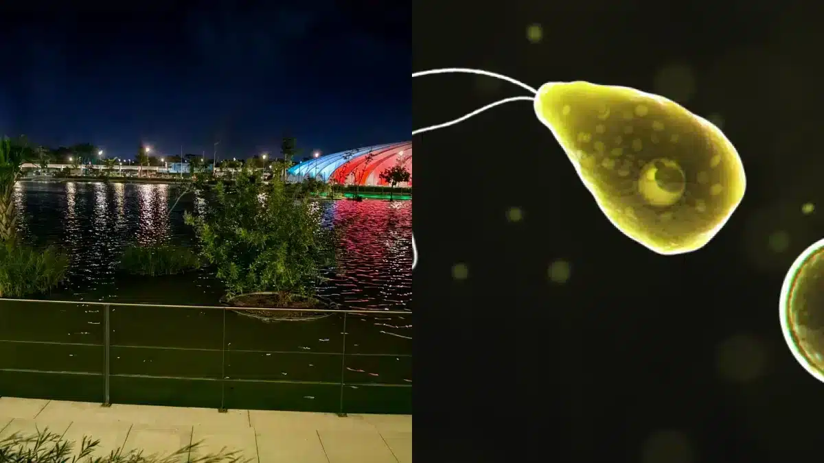 ameba-naegleria-seis-lagos-merida-que-es-como-se-contagia